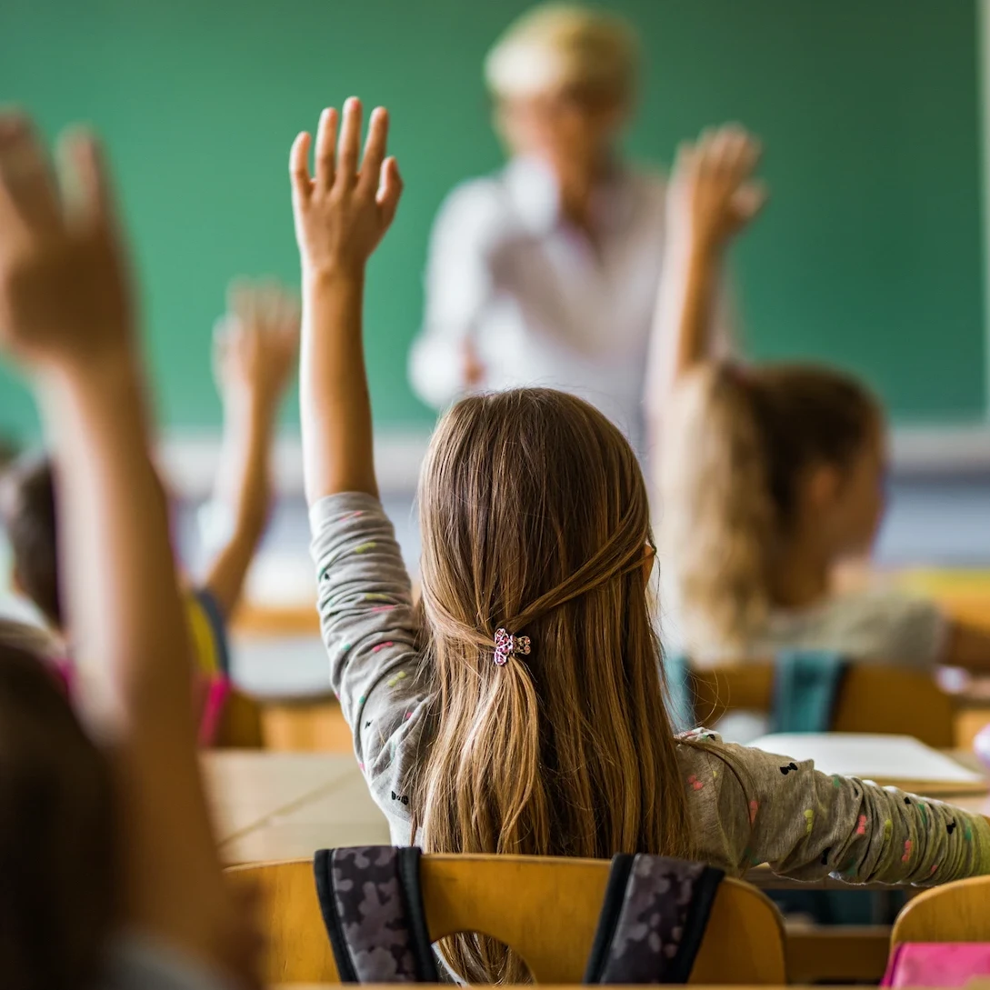 estudio de mercado escuela privada