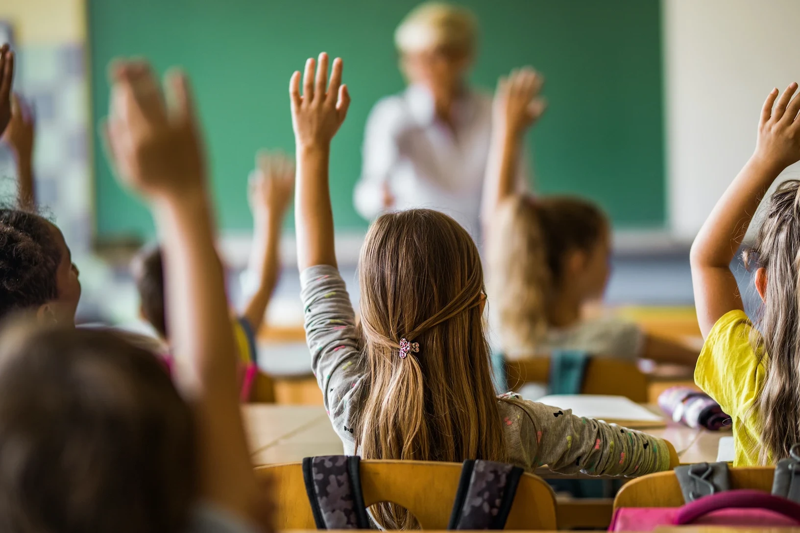 estudio de mercado escuela privada