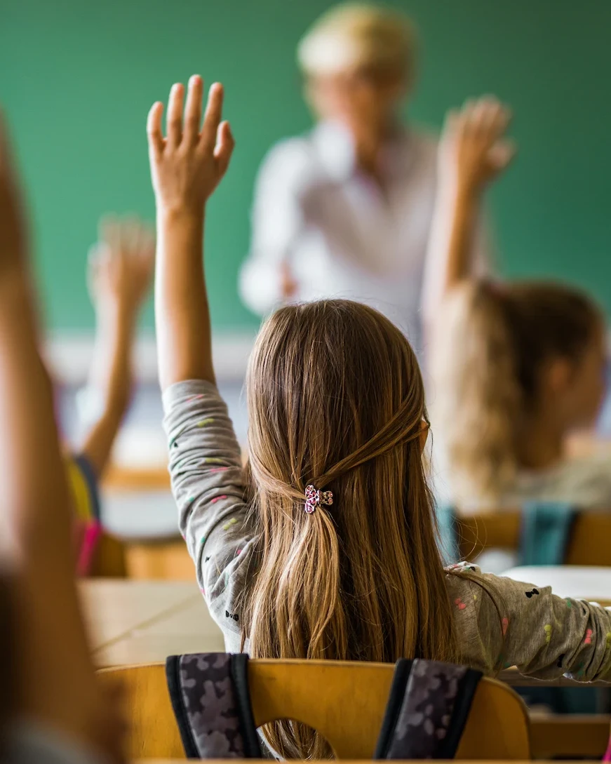 estudio de mercado escuela privada