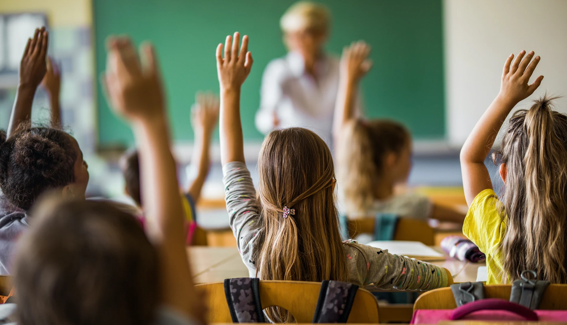 estudio de mercado escuela privada